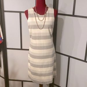 Banana Republic Women’s Striped Bodycon Mini Dress (12)